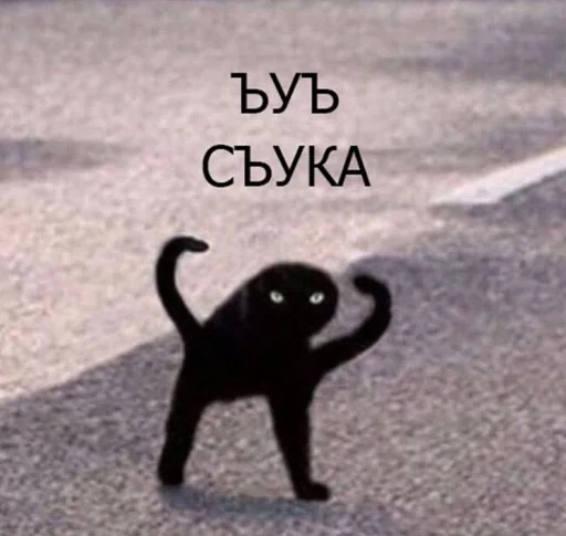 😤 Стикер «мемы» для Telegram