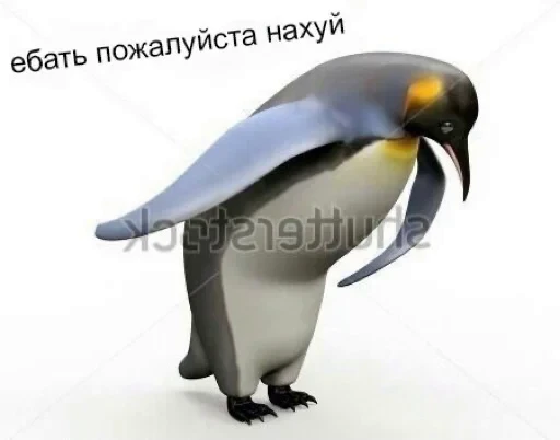 🙏 Стикер «мемы» для Telegram