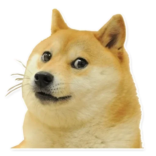 ☹️ Стикер «Memes for you» для Telegram