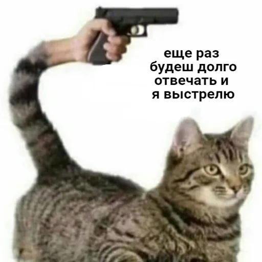😆 Стикер «Стикеры WhatsApp» для Telegram