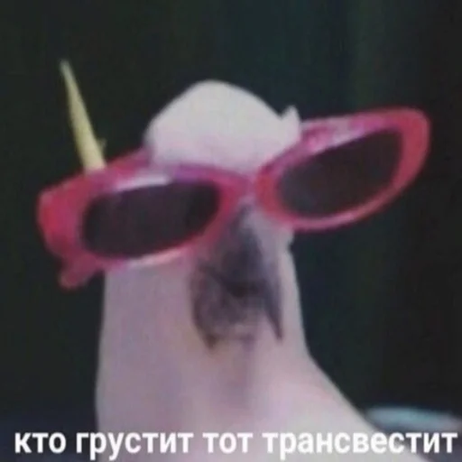 👽 Стикер «Стикеры WhatsApp» для Telegram