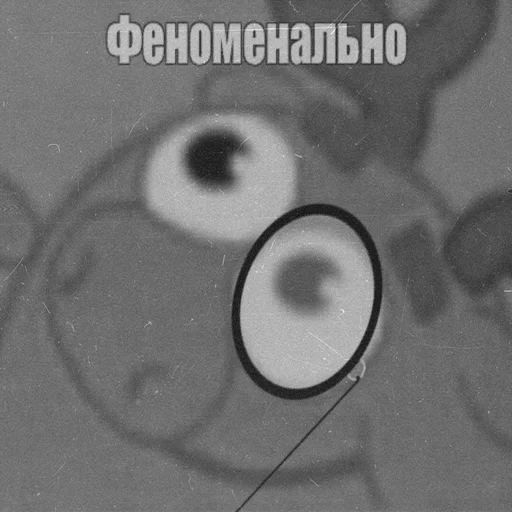 🥴 Стикер «Стикеры WhatsApp» для Telegram