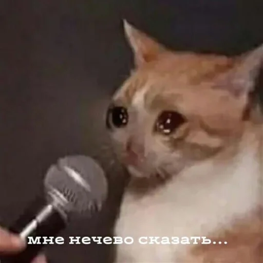 😞 Стикер «Стикеры WhatsApp» для Telegram