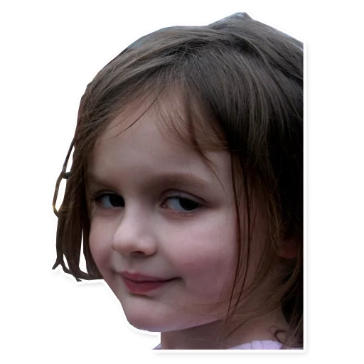 😌 Стикер «Memes, memes everywhere» для Telegram