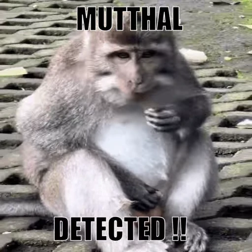 🐒 Стикер «Memes 2» для Telegram