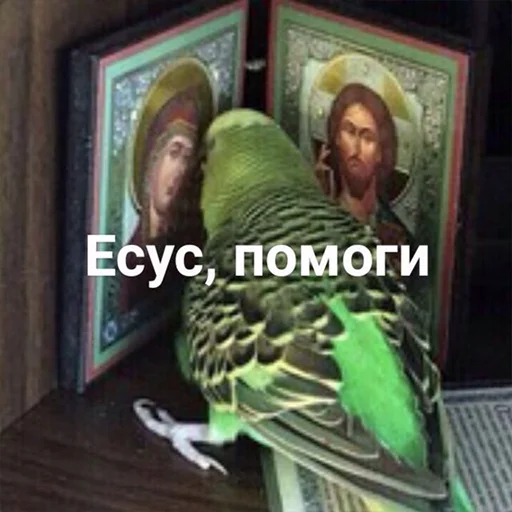 😀 Стикер «мемосяндры» для Telegram