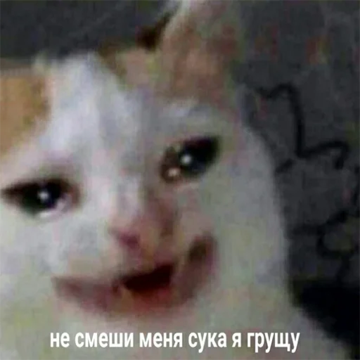 😀 Стикер «мемосяндры» для Telegram