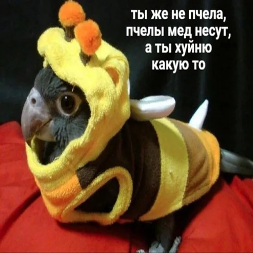 😀 Стикер «мемосяндры» для Telegram