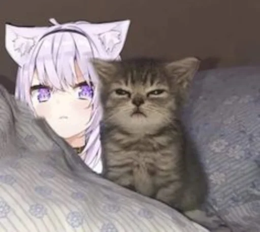 🐈 Стикер «Memi n.2» для Telegram