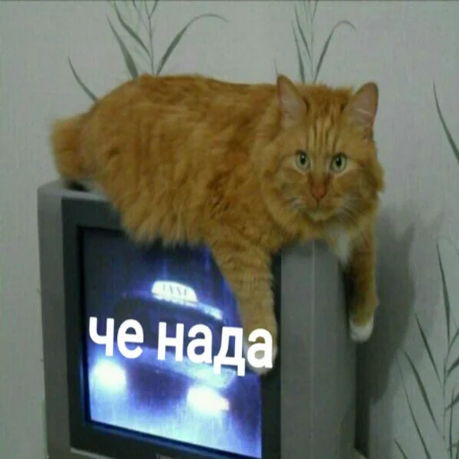 😕 Стикер «Мэмчики» для Telegram