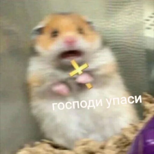 ✝ Стикер «Мэмчики» для Telegram