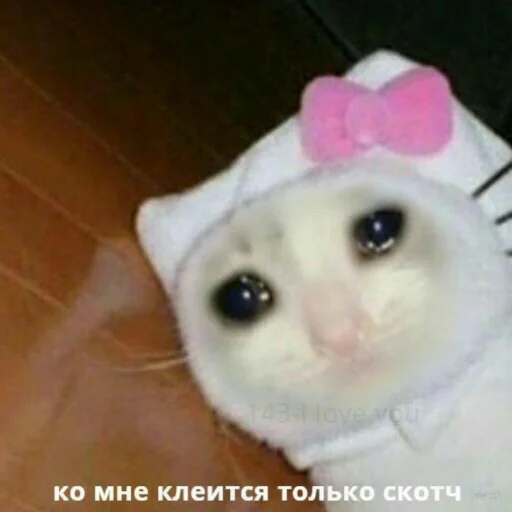 😢 Стикер «Мэмчики» для Telegram