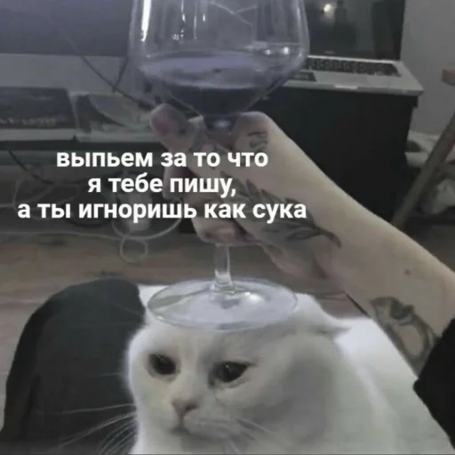 🖕 Стикер «Мэмчики» для Telegram
