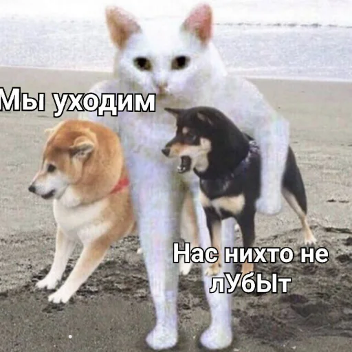 🥺 Стикер «Мэмчики» для Telegram