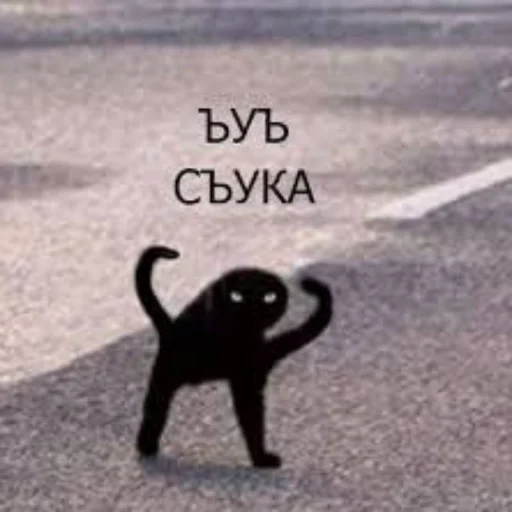 🗿 Стикер «Мэмчики» для Telegram