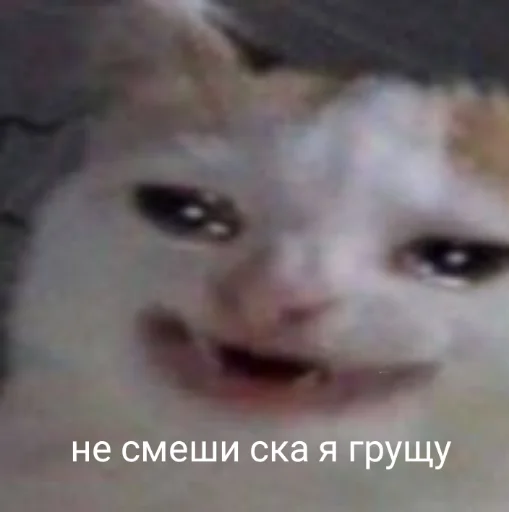 😞 Стикер «Мэмчики» для Telegram