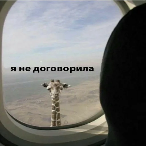 😬 Стикер «Мэмчики» для Telegram