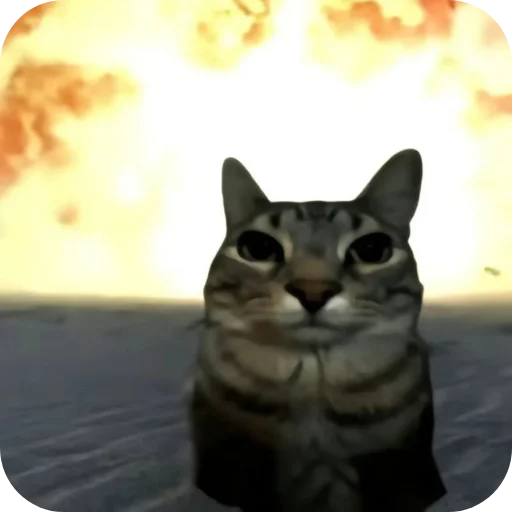 🐱 Стикер «Meme» для Telegram