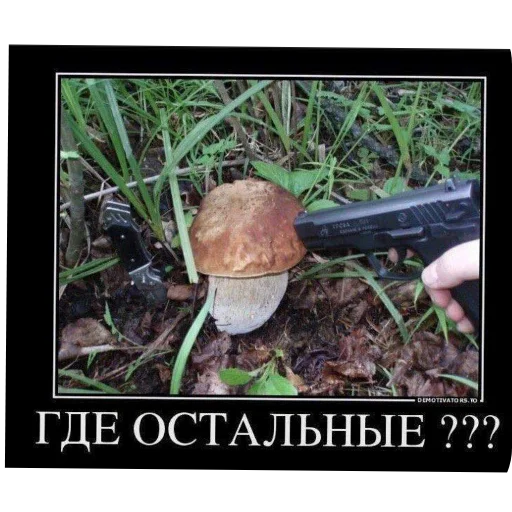 🐞 Стикер «Meme» для Telegram
