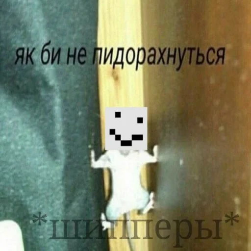 😳 Стикер «Мемные Кубы» для Telegram