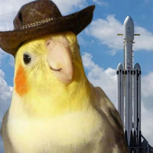🤠 Стикер «Овощное рагу» для Telegram
