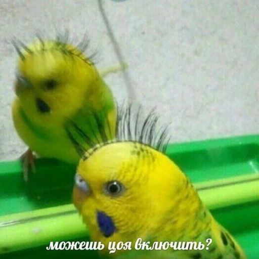 🤟 Стикер «Овощное рагу» для Telegram