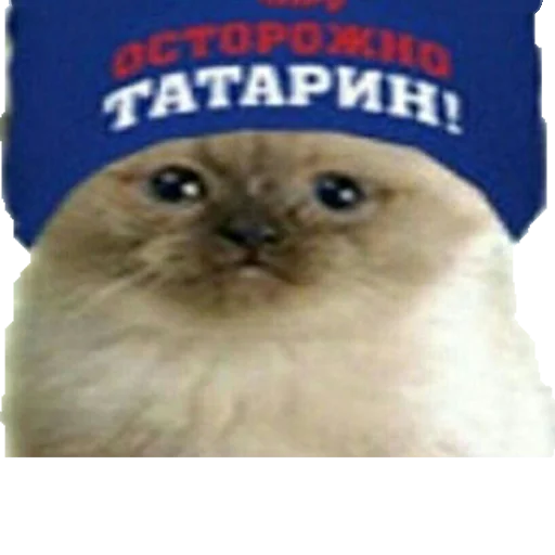 ❌ Стикер «Овощное рагу» для Telegram