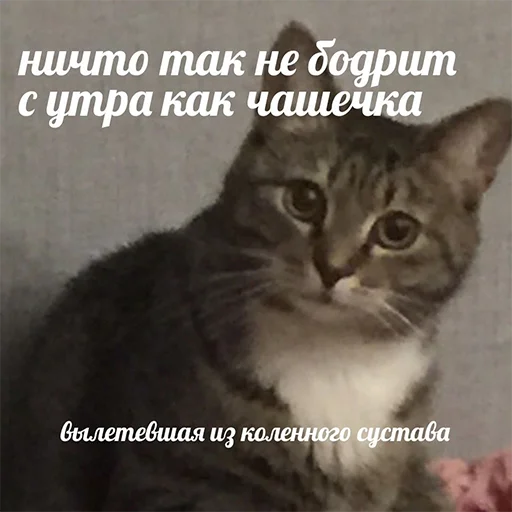 😌 Стикер «Овощное рагу» для Telegram