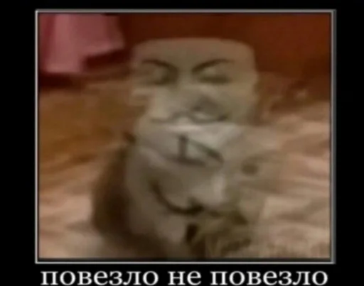🤪 Стикер «Мемные мемы» для Telegram