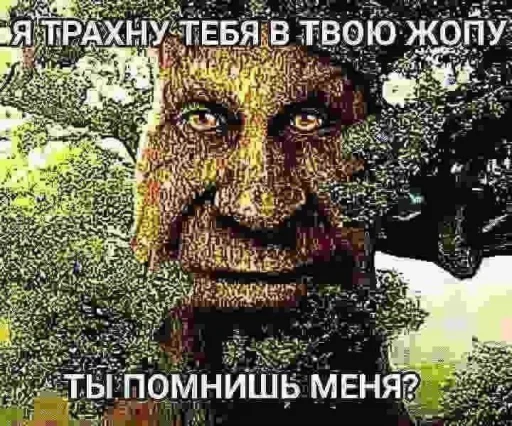 🥵 Стикер «Мемные мемы» для Telegram