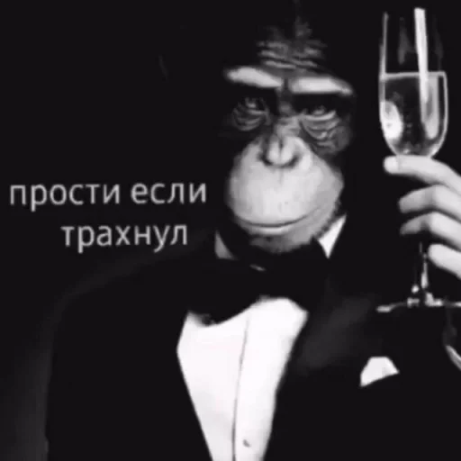 Стикерпак Мемные мемы для Telegram