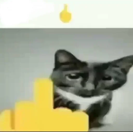 🖕 Стикер «Мемные мемы» для Telegram