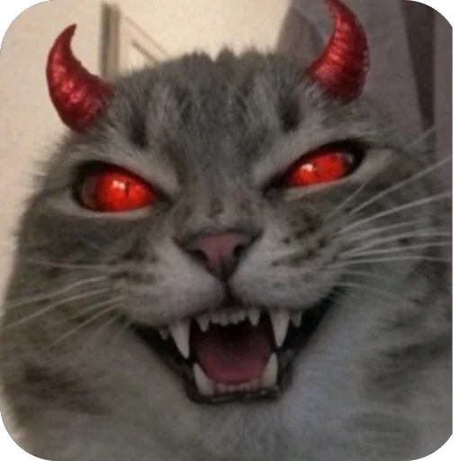😈 Стикер «Котомем.» для Telegram