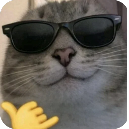 😎 Стикер «Котомем.» для Telegram