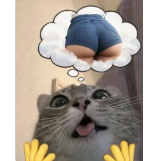 🫥 Стикер «Котомем.» для Telegram