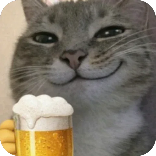 🍺 Стикер «Котомем.» для Telegram