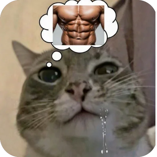🫥 Стикер «Котомем.» для Telegram