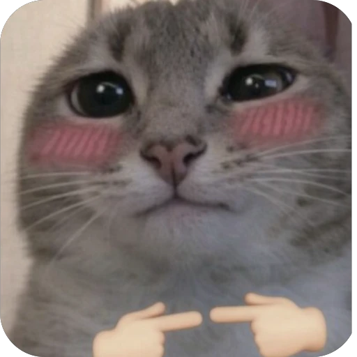 🙈 Стикер «Котомем.» для Telegram