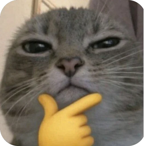 🤔 Стикер «Котомем.» для Telegram