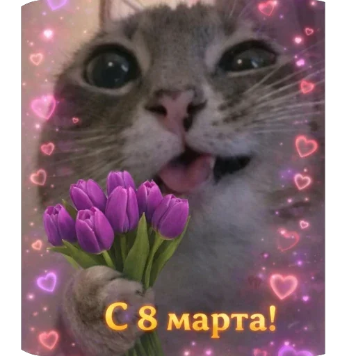 🫥 Стикер «Котомем.» для Telegram