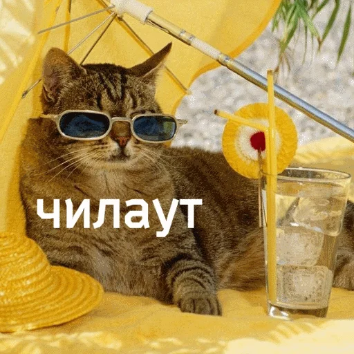 🥴 Стикер «popug mem» для Telegram