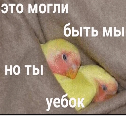 💔 Стикер «popug mem» для Telegram