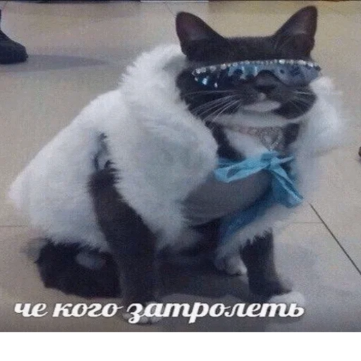 🤪 Стикер «popug mem» для Telegram