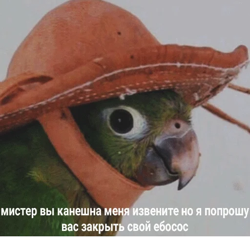 🖕 Стикер «popug mem» для Telegram