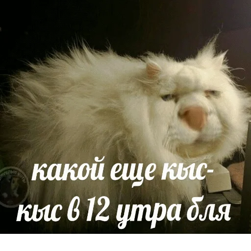 😕 Стикер «popug mem» для Telegram
