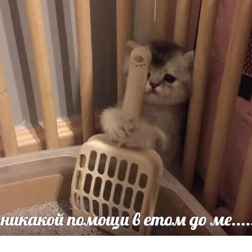 😔 Стикер «popug mem» для Telegram