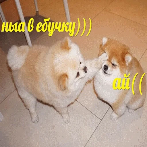 👊 Стикер «popug mem» для Telegram