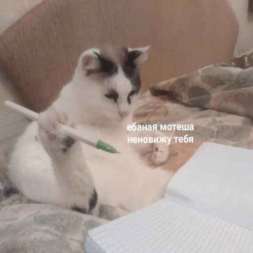 😑 Стикер «popug mem» для Telegram