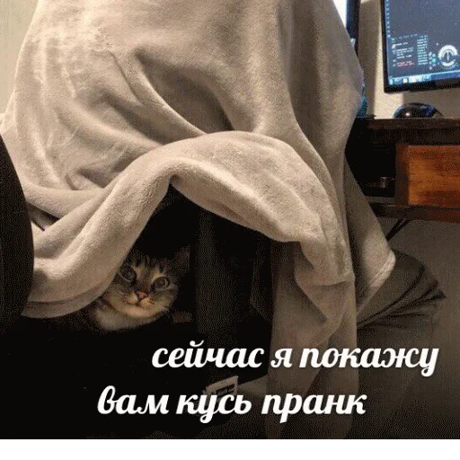 😼 Стикер «popug mem» для Telegram