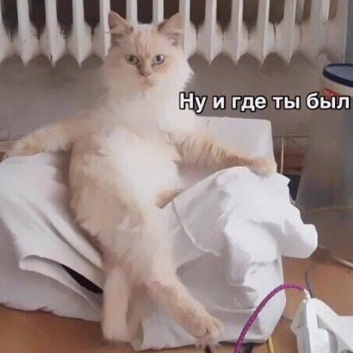 😈 Стикер «popug mem» для Telegram